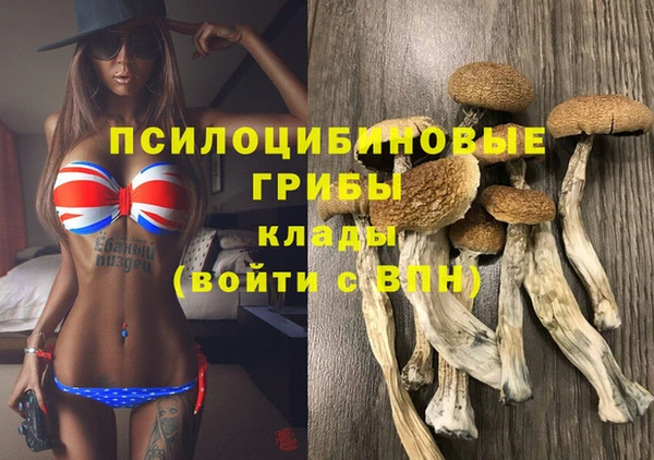 герыч Зеленодольск
