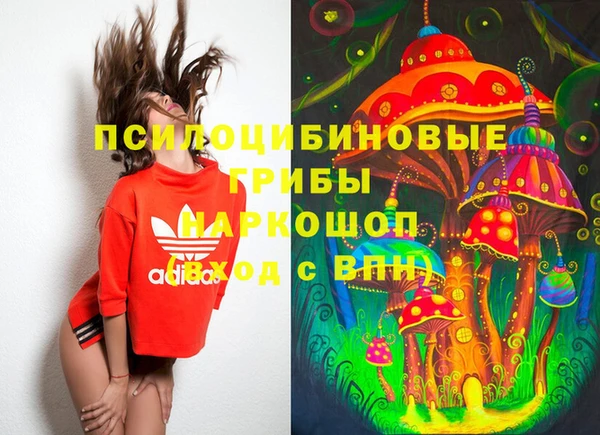 герыч Зеленодольск