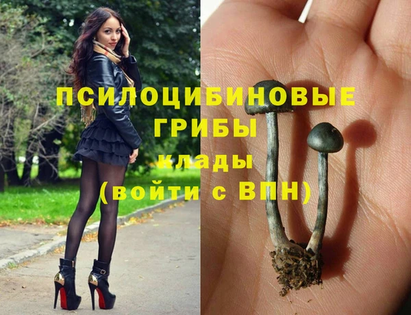 экстази Зеленокумск